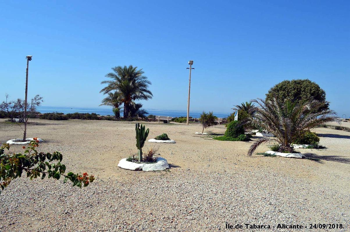 21 ALICANTE L ILE DE TABARCA (84).JPG